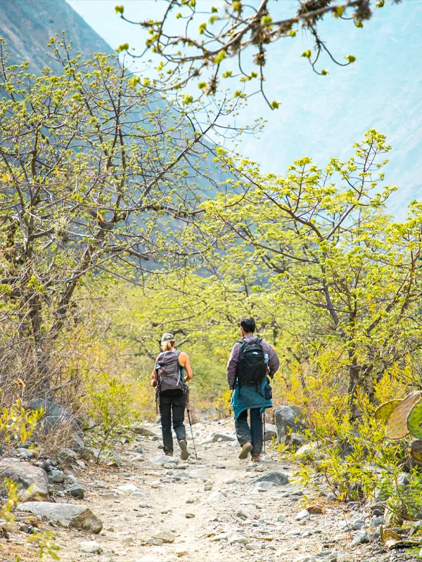 Scenery during the Choquequirao Trek Scenery during the Choquequirao Trek | TreXperience