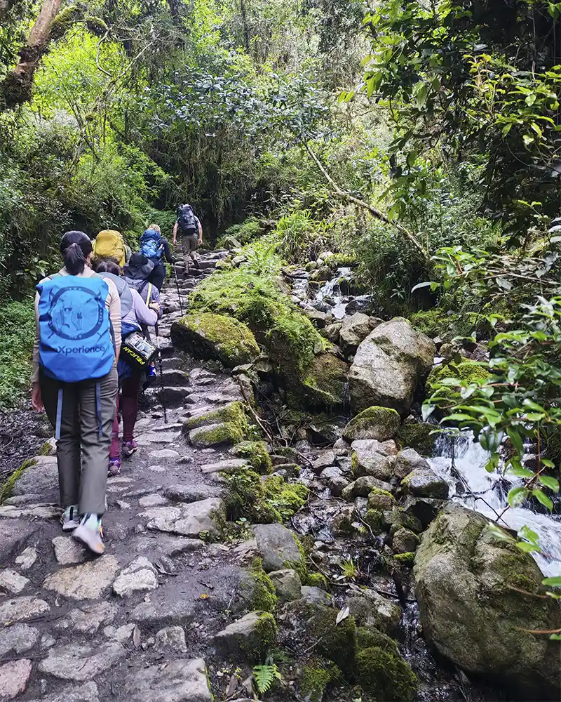 Caminata por el Camino Inca clásico | TreXperience