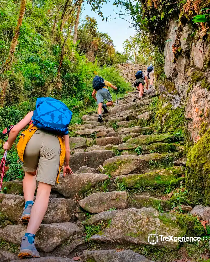 Stone stairs of the Inca Trail Visitors climbing the stone stairs of Inca Trail