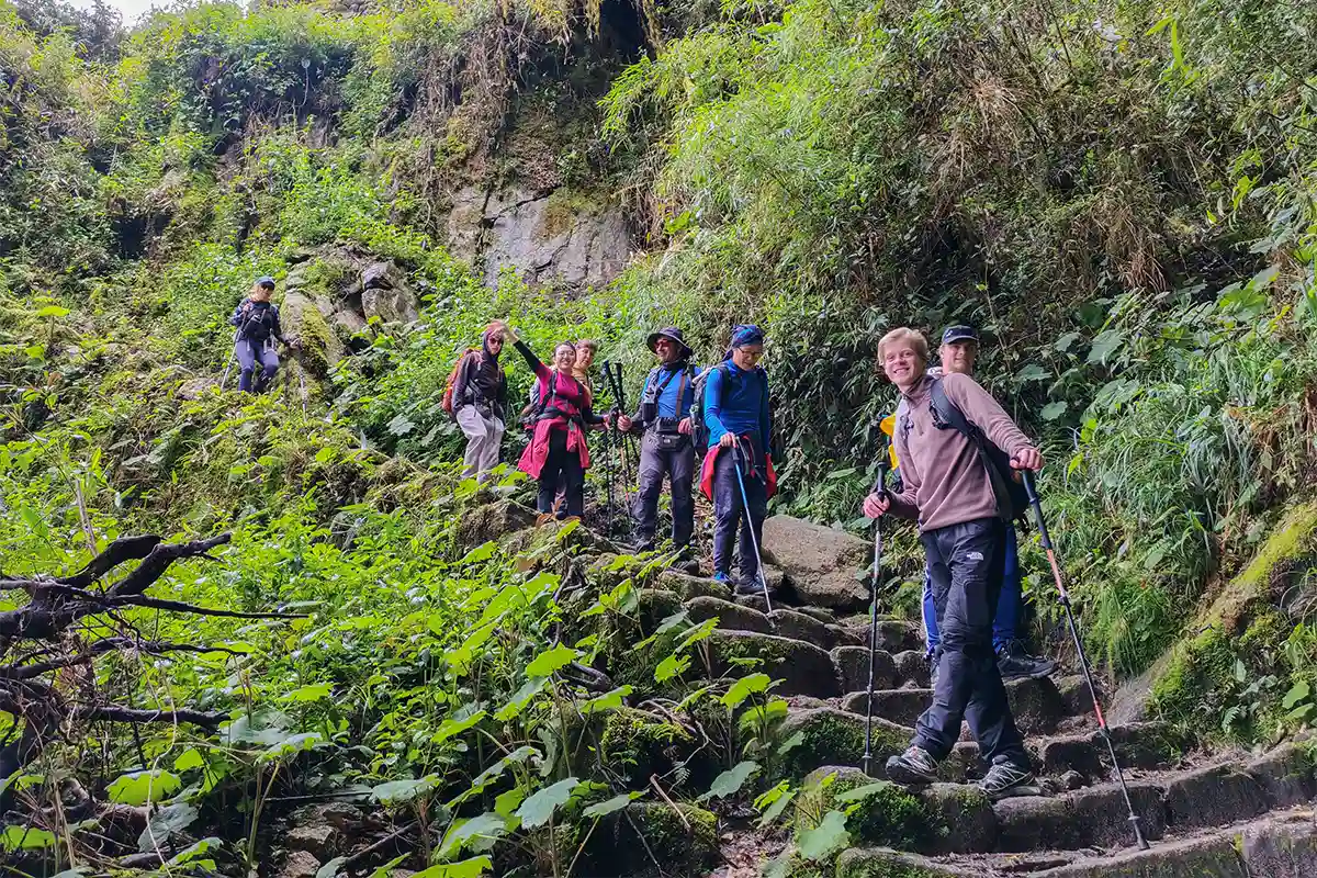 Bosque nuboso en el Camino Inca clásico | TreXperience