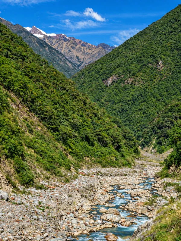 Selva Alta Selva Alta | TreXperience