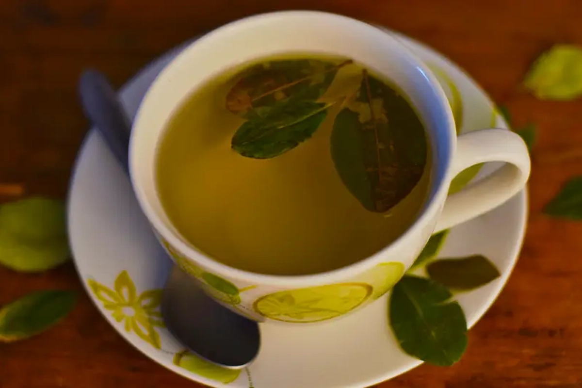 A cup of coca tea | TreXperience