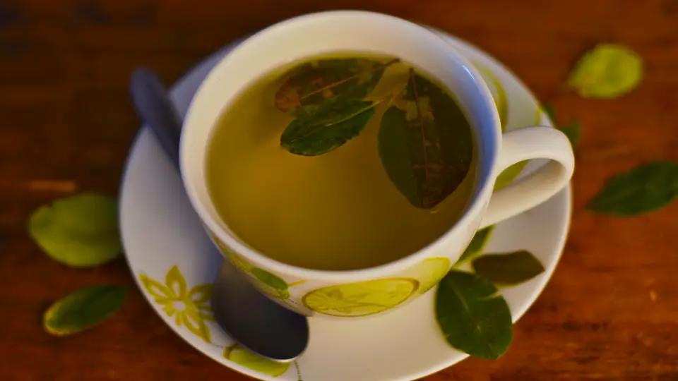 photo of coca tea served in cup