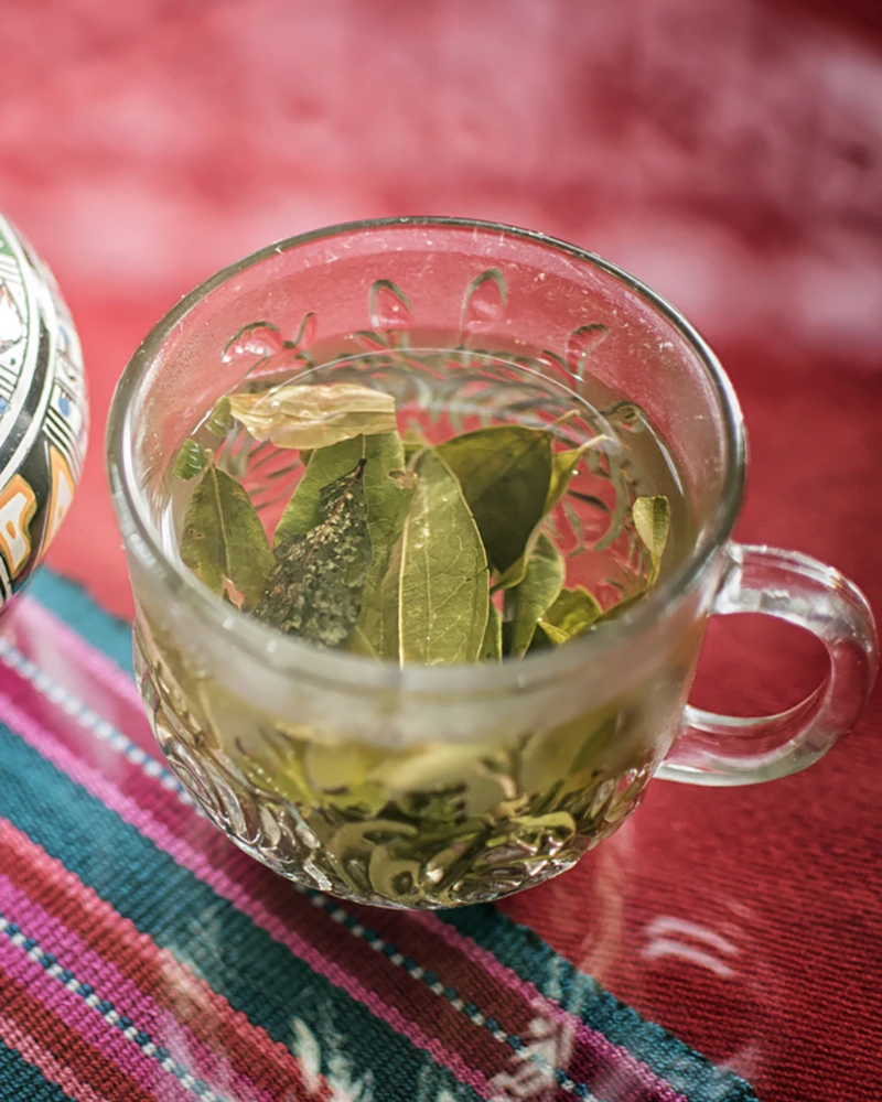 Mate de coca | TreXperience