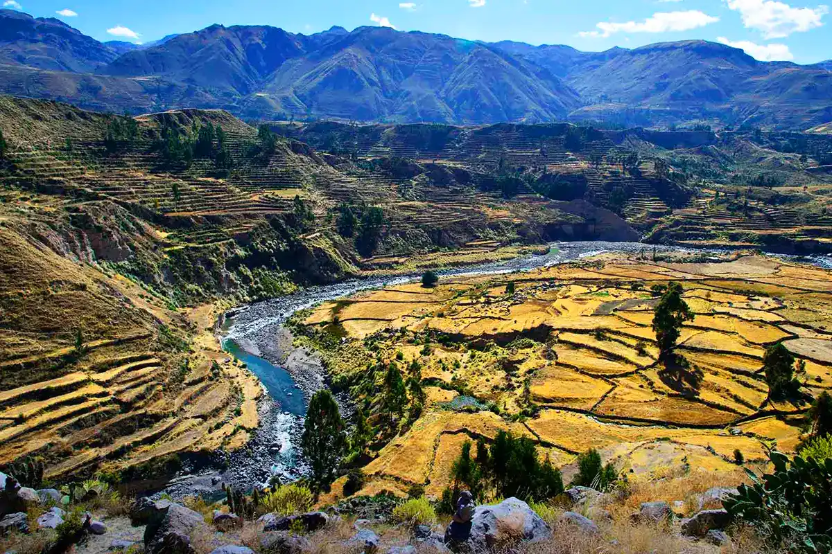 Colca Canyon in the Arequipa region | TreXperience