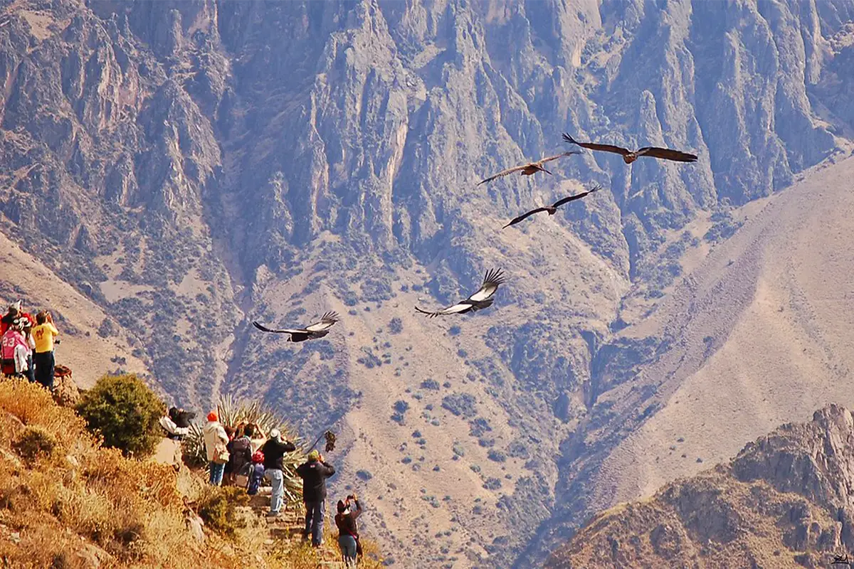 cañon colca | TreXperience