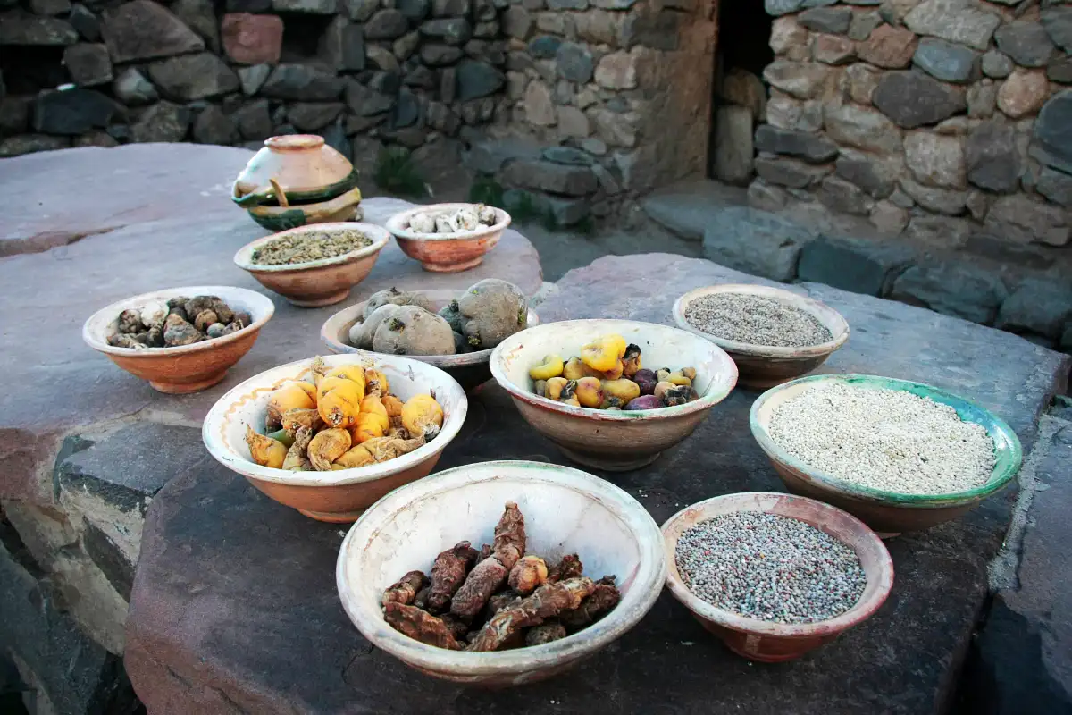 Cultivos andinos en Sillustani | TreXperience Cultivos andinos en Sillustani | TreXperience