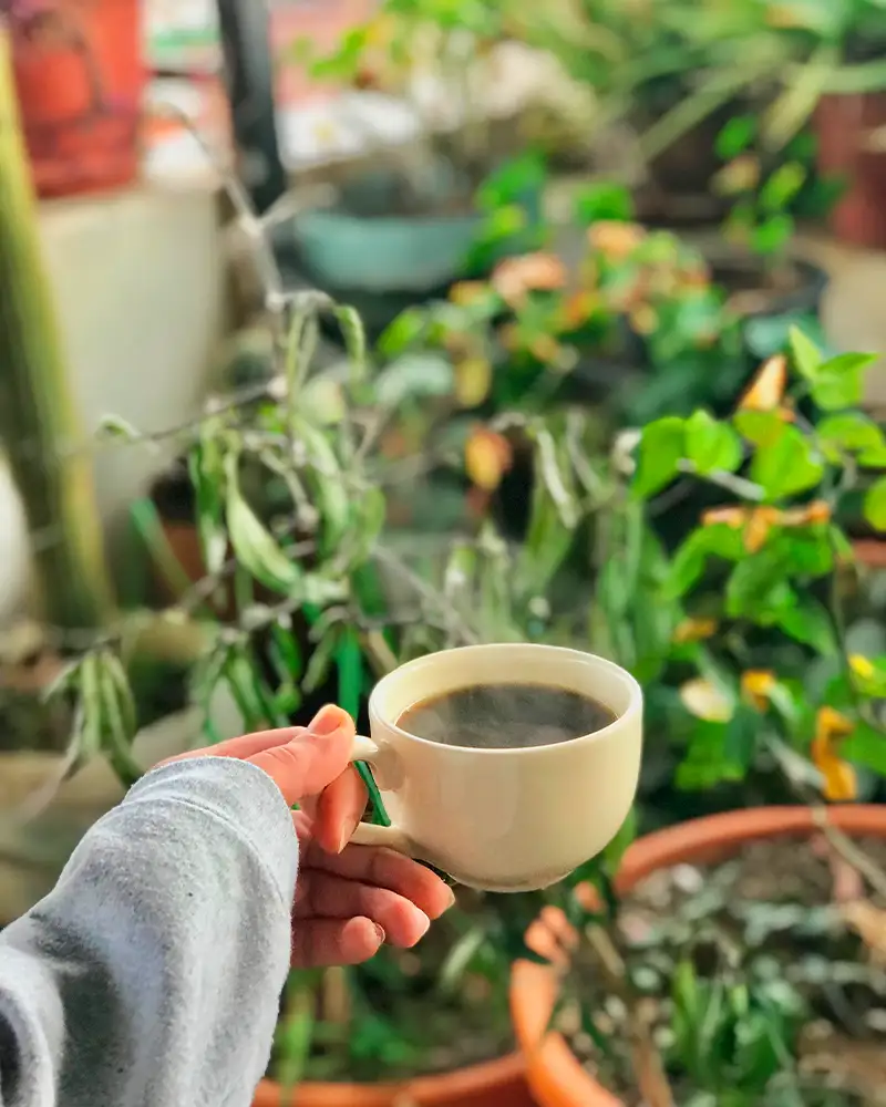 Taza de café peruano con el sello "Comercio Justo" | TreXperience