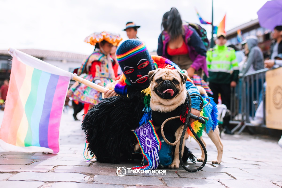 Boy and his pet dressed as ukukus next to the flag of Cusco, Peru Boy dressed as an ukuku holding the Cusco flag and his pet also dressed as an ukuku | TreXperience