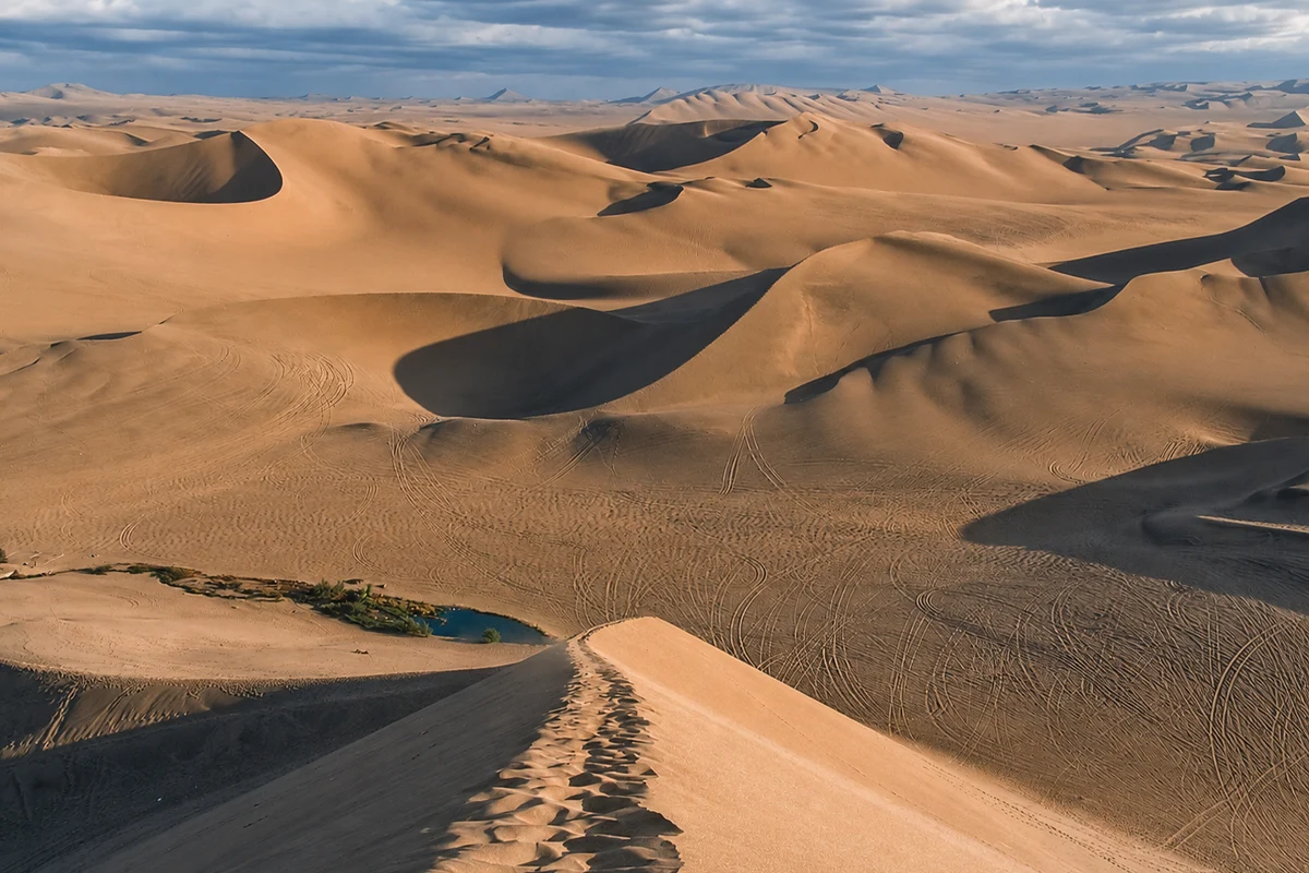 Dunas del desierto de Ica Dunas del desierto de Ica | TreXperience