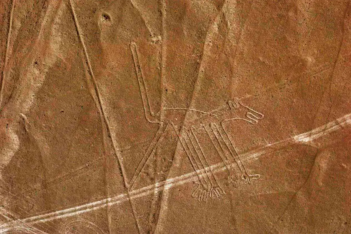 The Dog - Nazca Lines
