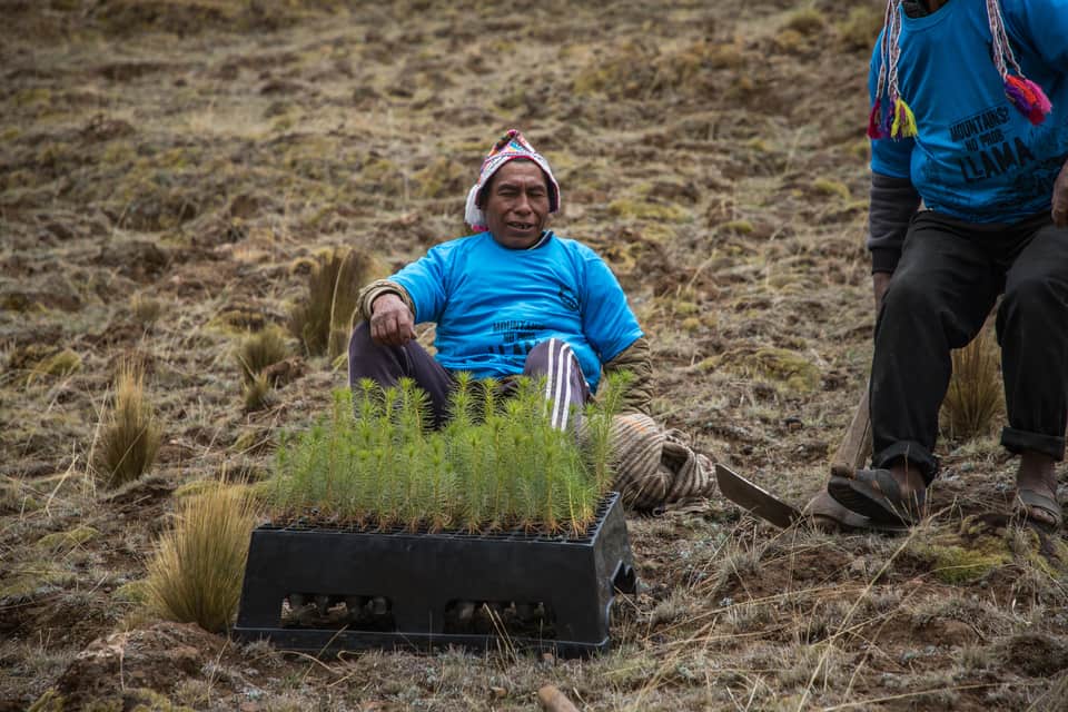 Proyectos Ambientales