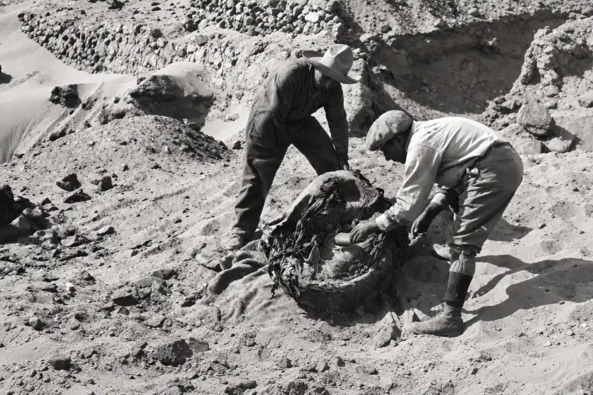 Paracas Archaeological Excavation | TreXperience Paracas Archaeological Excavation | TreXperience