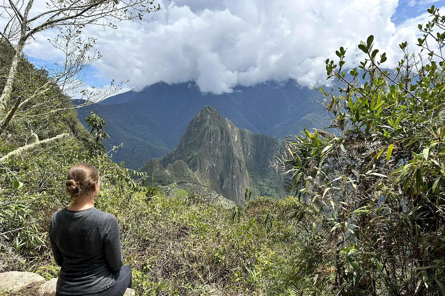 Vista de la Montaña Machu Picchu | TreXperience