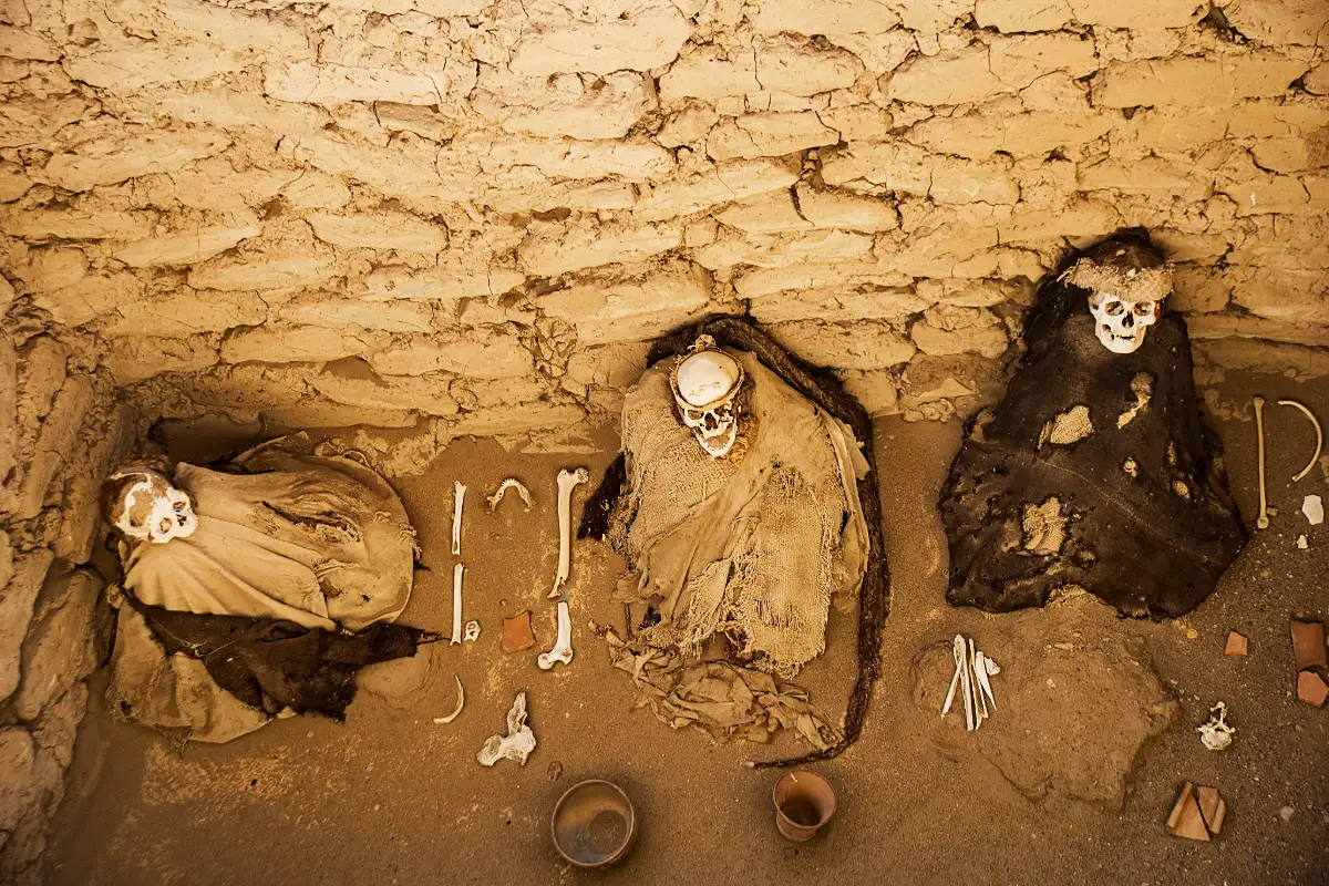 Chauchilla tombs | TreXperience Chauchilla tombs | TreXperience