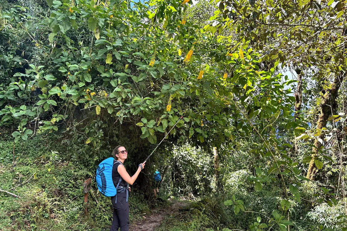 Flora durante el trekking | TreXperience