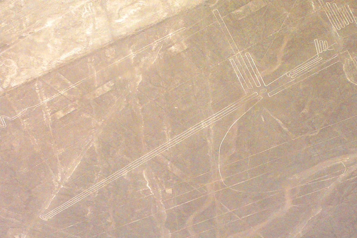 The Frigatebird - Nazca Lines