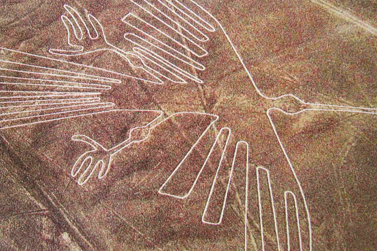 The Condor - Nazca Lines