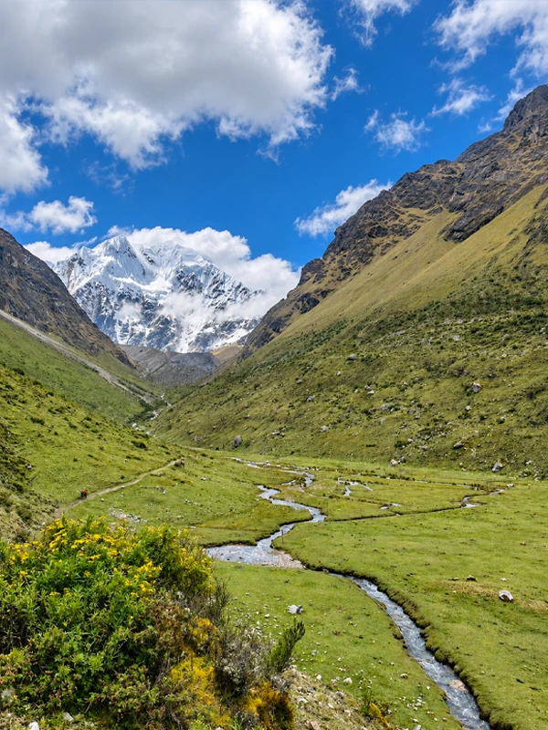 Valle Glaciar de la Montaña Salkantay Valle Glaciar de la Montaña Salkantay | TreXperience