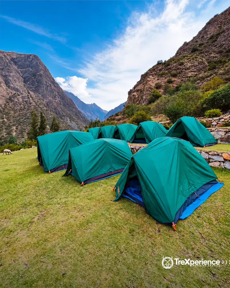 High Quality TreXperience tents Green trexperience tents beneath mountains