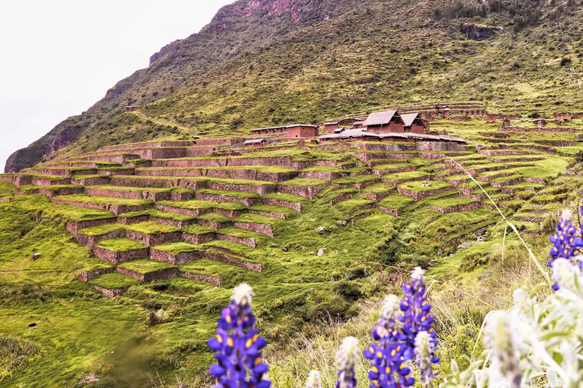 Huchuy Qosqo Surrounded by Nature Panoramic View of Huchuy Qosqo | TreXperience
