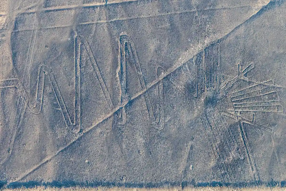 The Heron - Nazca Lines