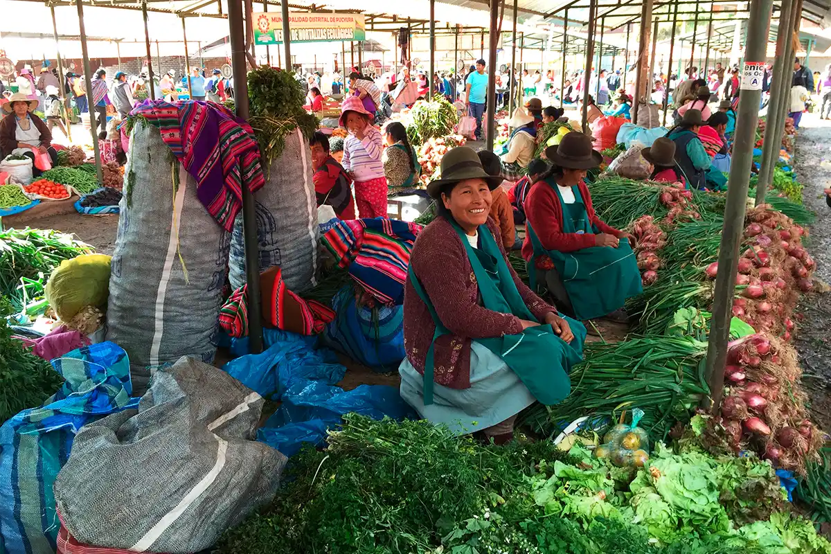 Woman vendor at Huancaro Market Woman vendor at Huancaro Market