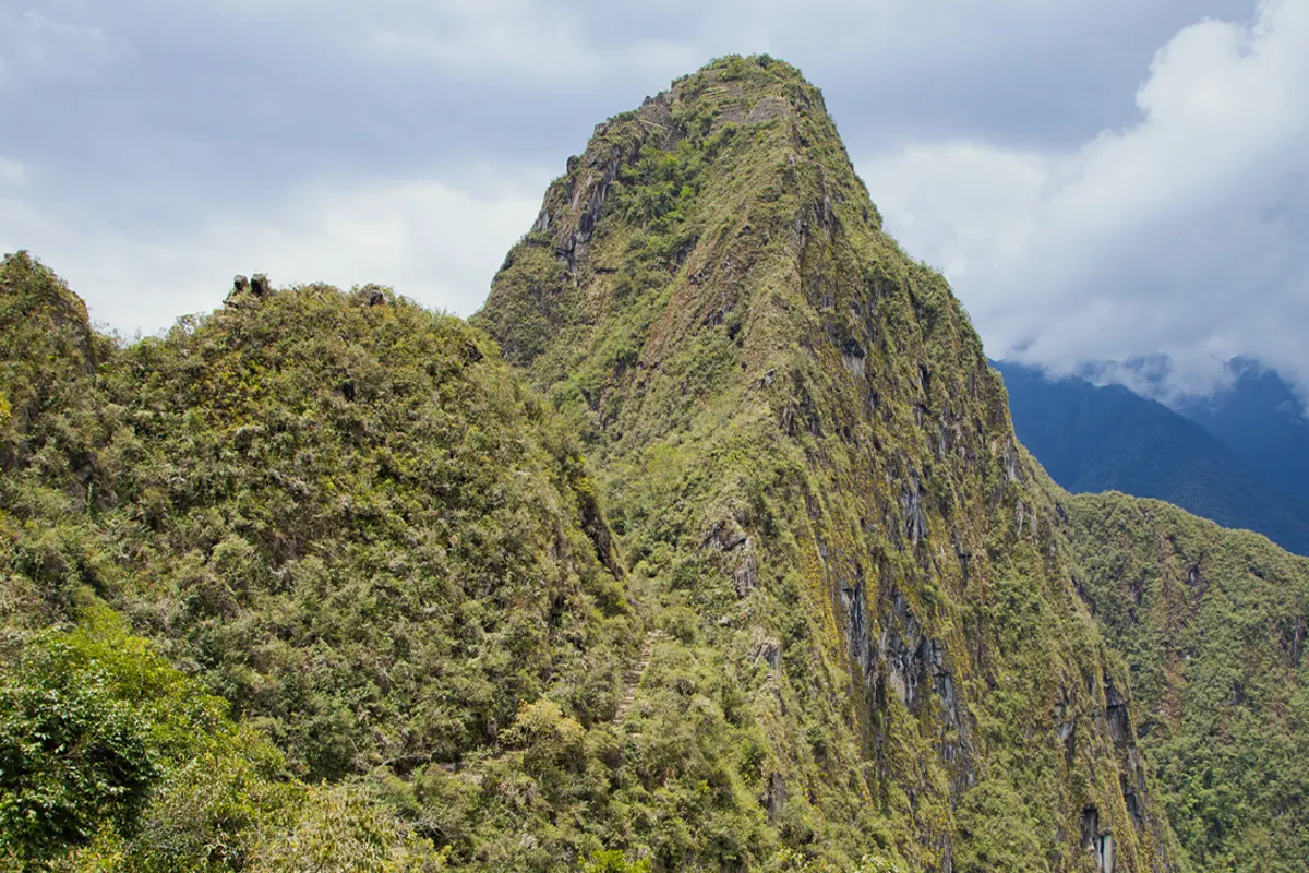 Camino Inca a través de vegetación hacia la montaña Huchuy Picchu Camino inca por la zona norte de Machu Picchu hacia Wayna Picchu y Huchuy Picchu | TreXperience