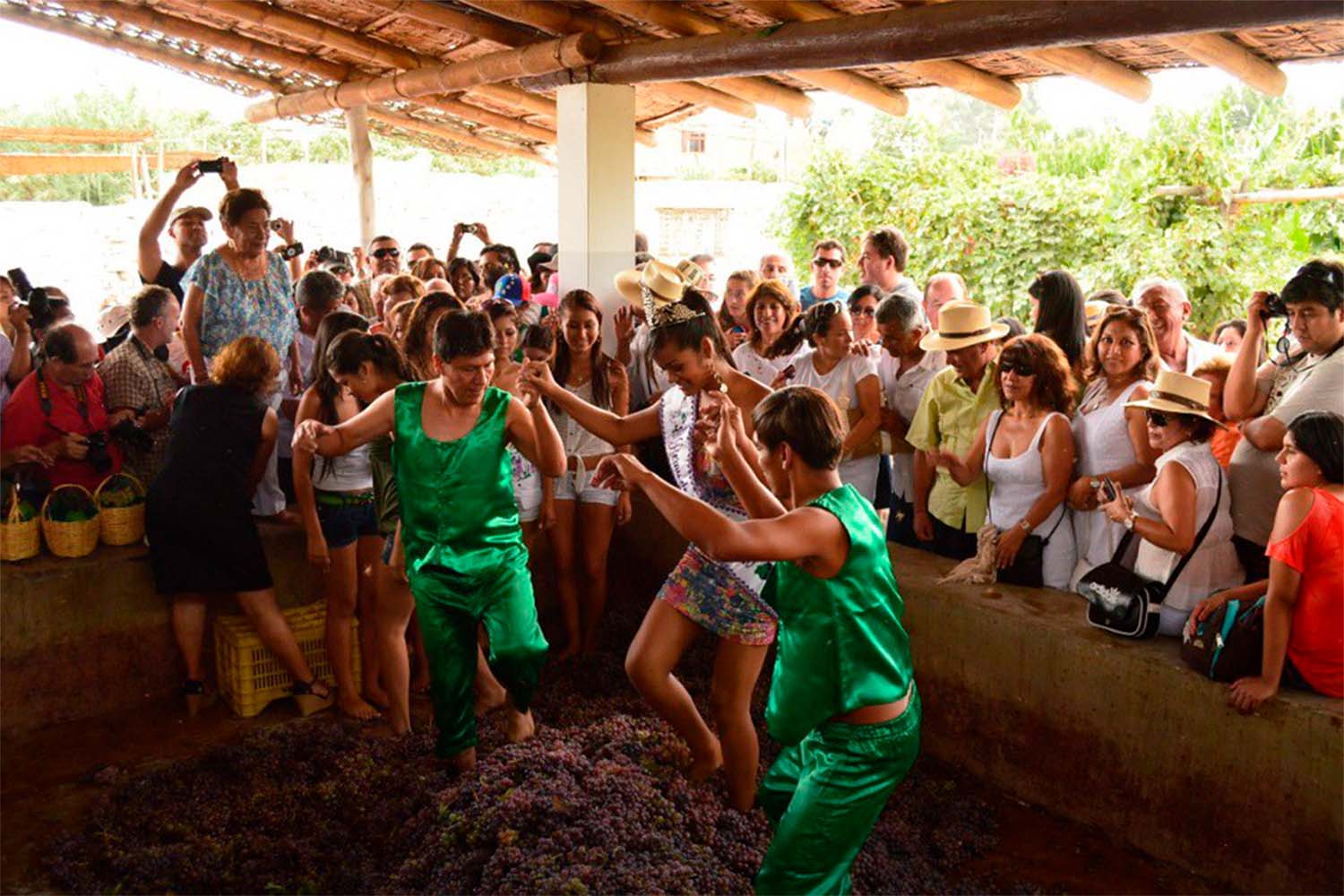 Vendimia Festival in Ica Peru | TreXperience