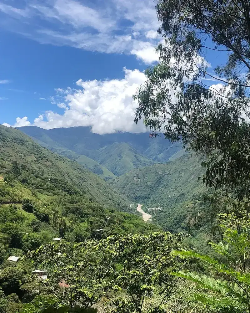 Hiking on the Inca Jungle Trek: What to Do in Cusco | TreXperience Hiking on the Inca Jungle Trek: What to Do in Cusco | TreXperience
