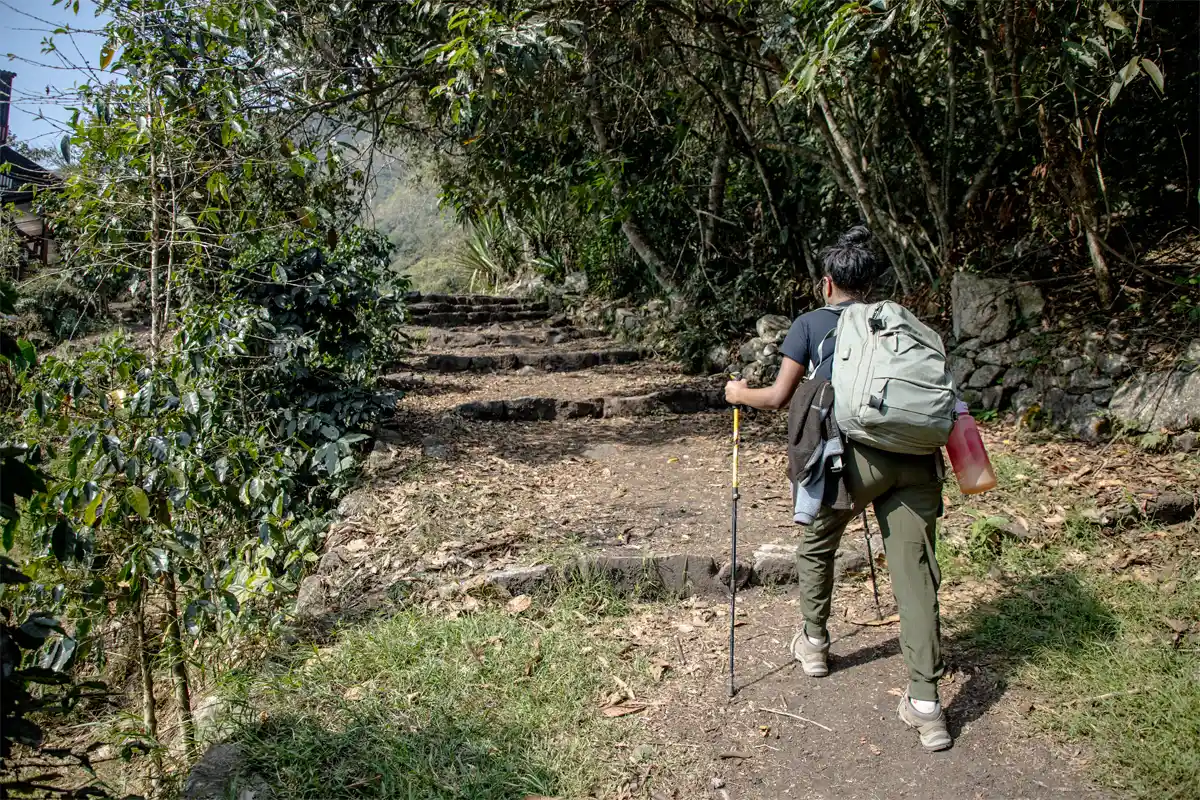 Inca Trail section through the cloud forest Walking the Inca Trail section through the cloud forest | TreXperience