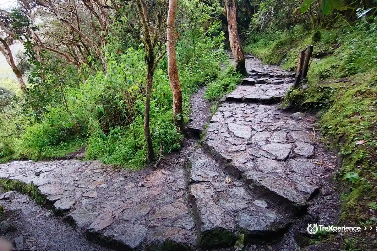 Inca Trail to Machu Picchu is closed in august Inca Trail to Machu Picchu is closed in august | TreXperience