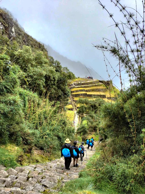 Hike to Phuyupatamarca on the Inca Trail Hike to Phuyupatamarca on the Inca Trail | TreXperience