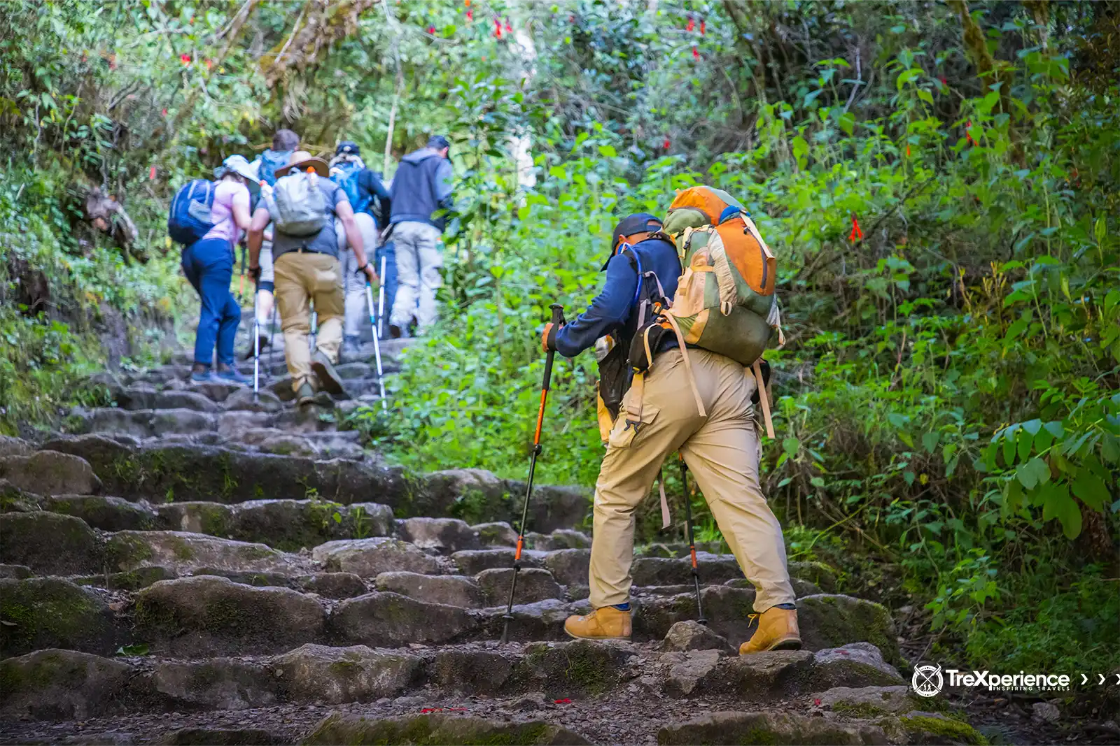 Group of hikers walking the Inca Trail to Machu Picchu | TreXperience