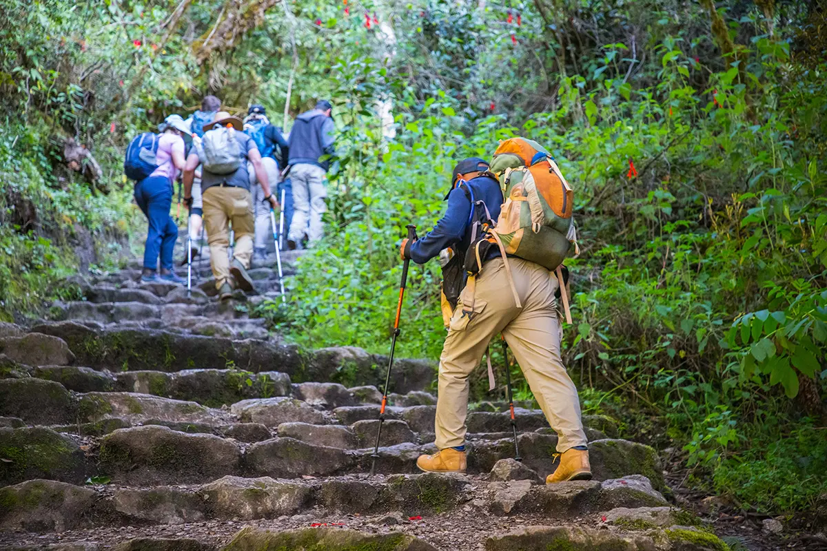 Grupo de viajeros en el Camino Inca a Machu Picchu | TreXperience