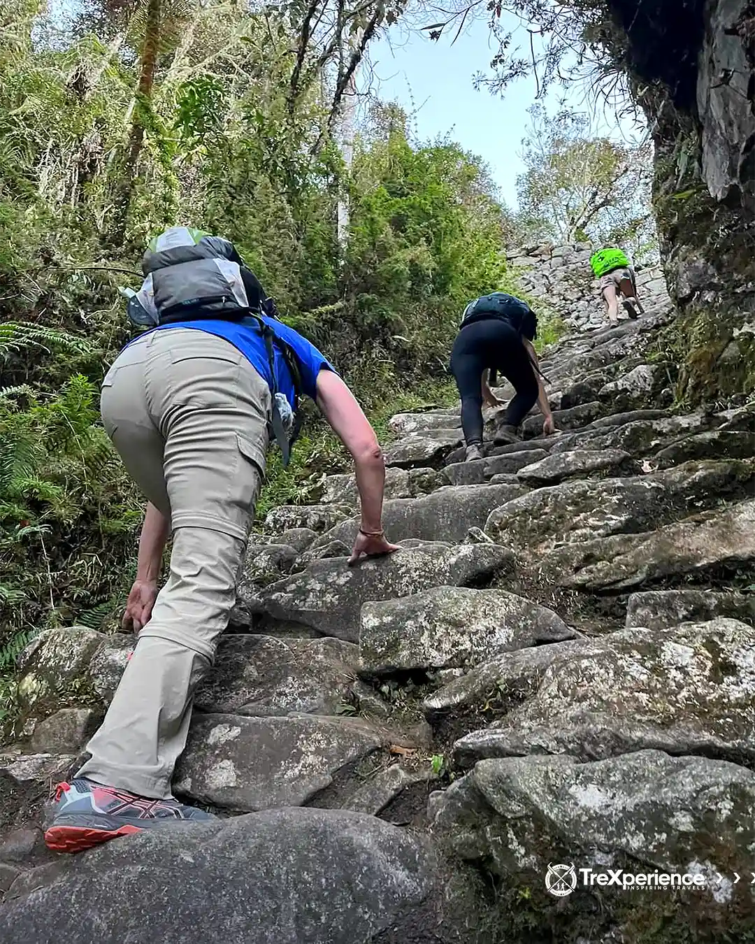 Hiking the last stretch to Intipunku on the Inca Trail | TreXperience