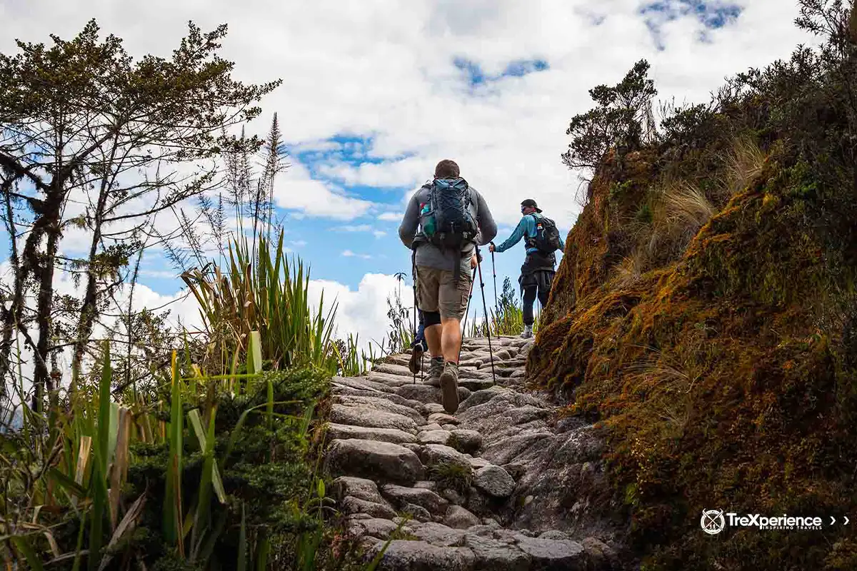 Best time to hike the Inca Trail | TreXperience