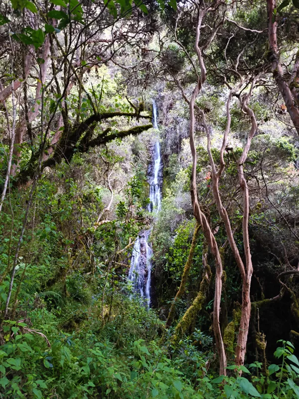 Inca Trail waterfall