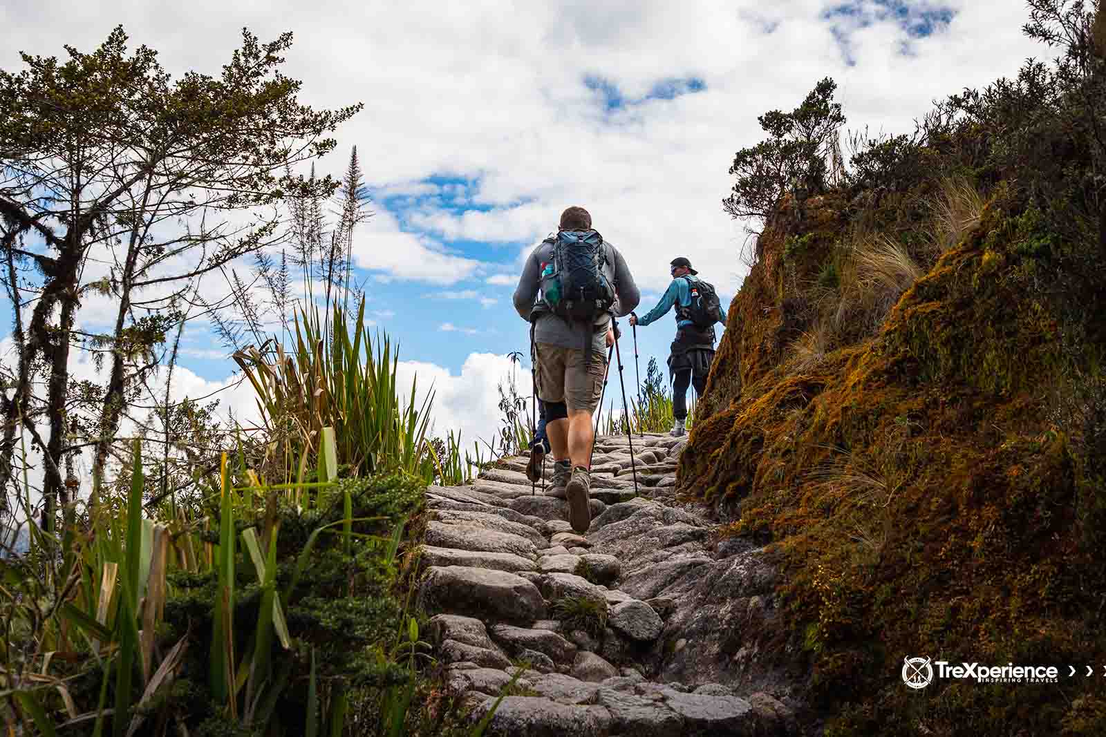 Camino Inca a Machu Picchu | TreXperience