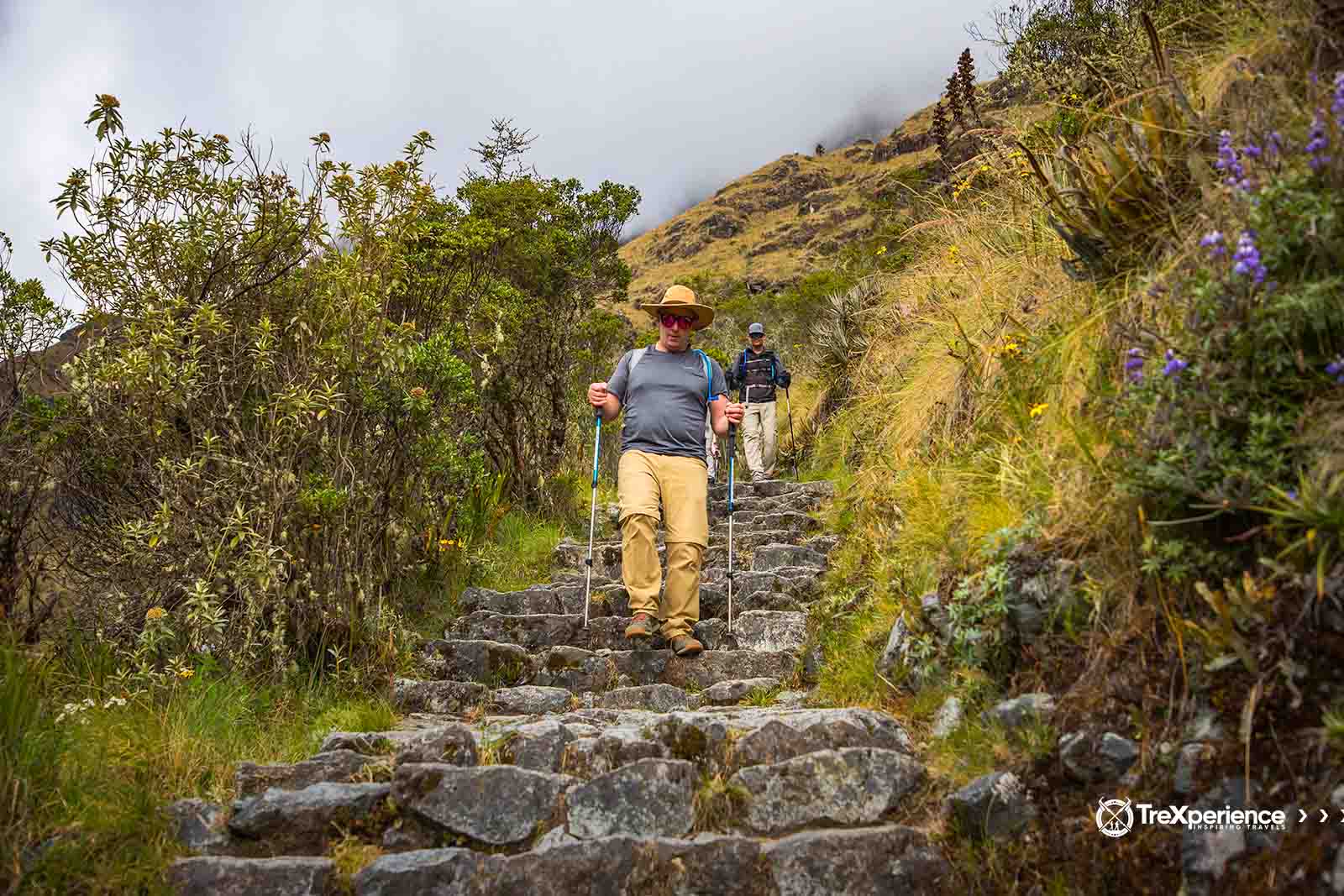 Caminata Camino Inca | TreXperience