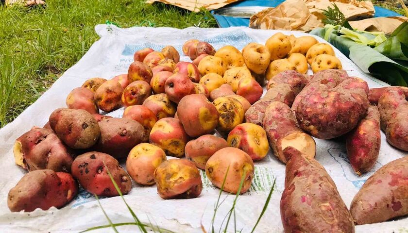 Comida peruana - Pachamanca