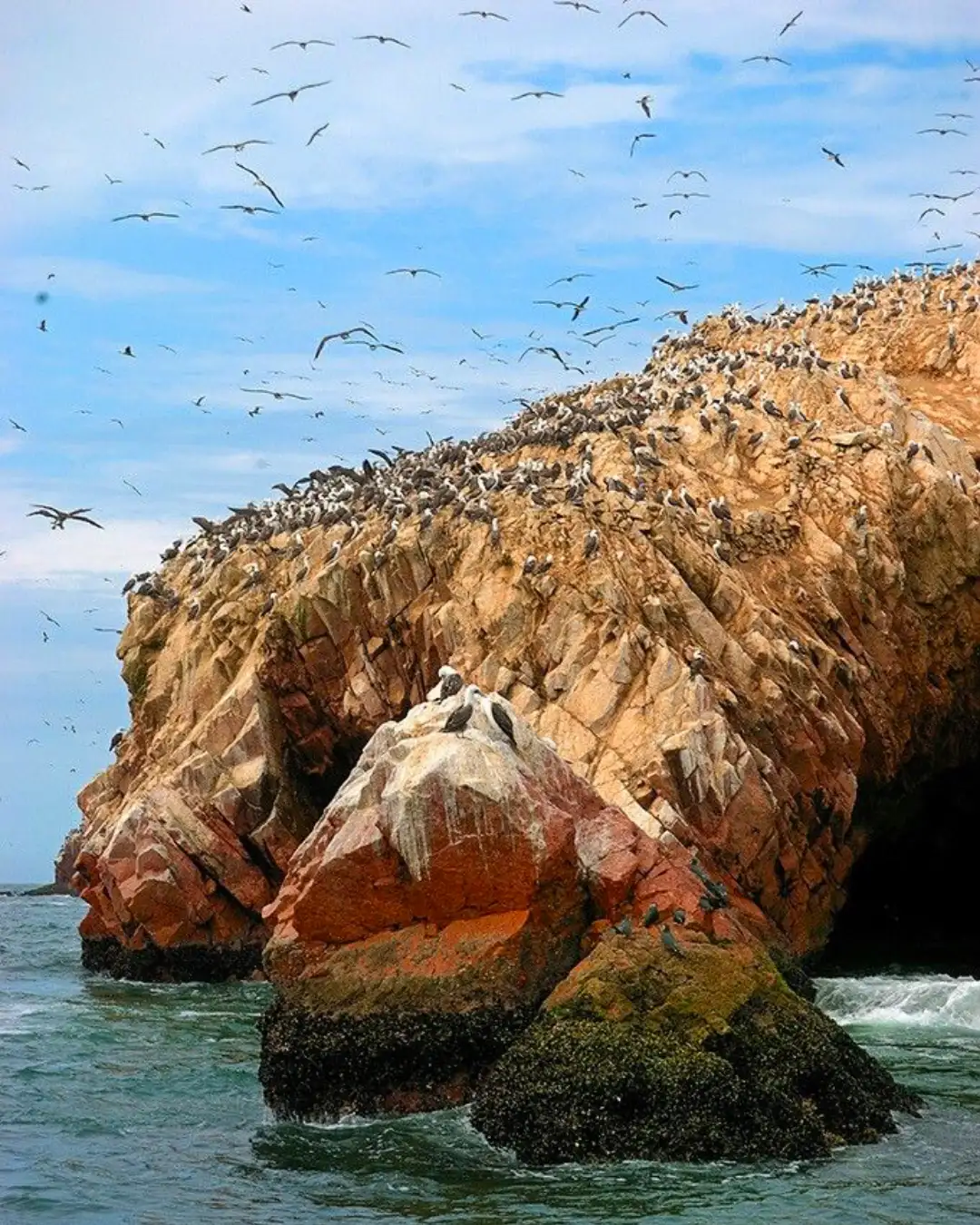 Islas Ballestas | TreXperience