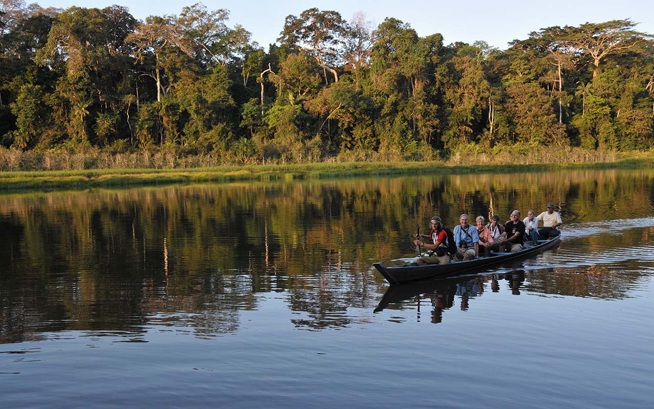 Selva amazónica de Perú | TreXperience