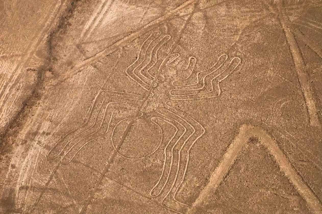 Nazca Lines: The Largest Geoglyphs in the World | TreXperience