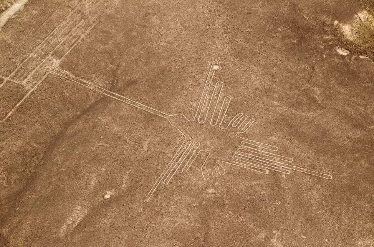 Nazca Lines: The Largest Geoglyphs in the World | TreXperience