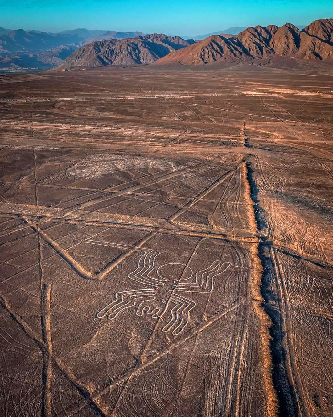 Lineas de Nazca | TreXperience