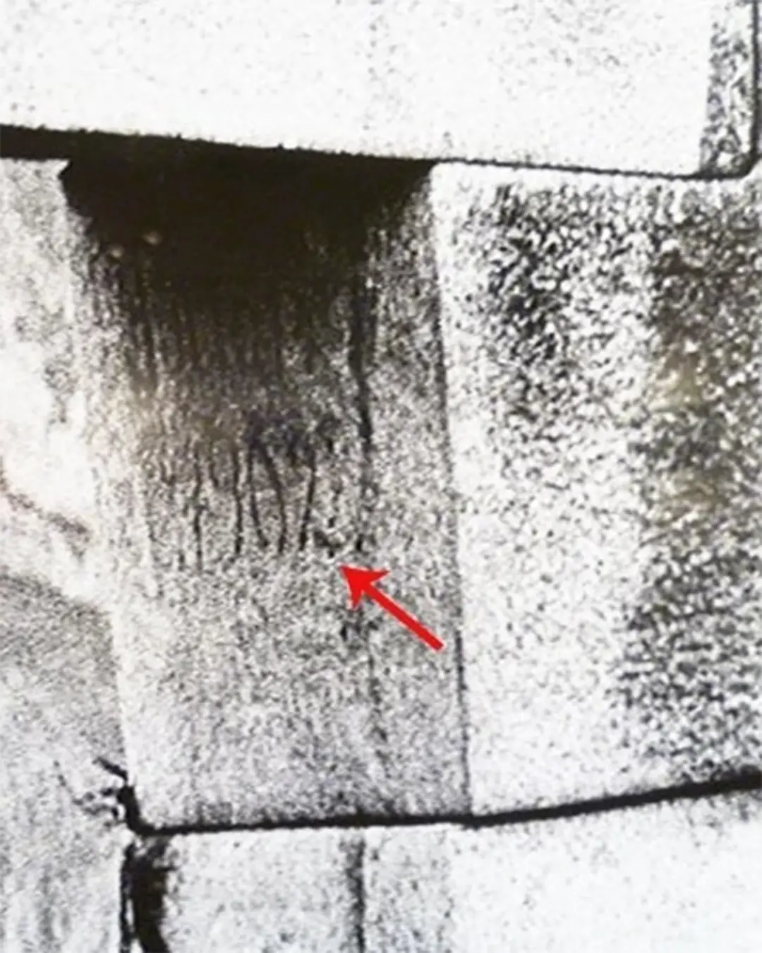 machu picchu agustin lizarraga | TreXperience