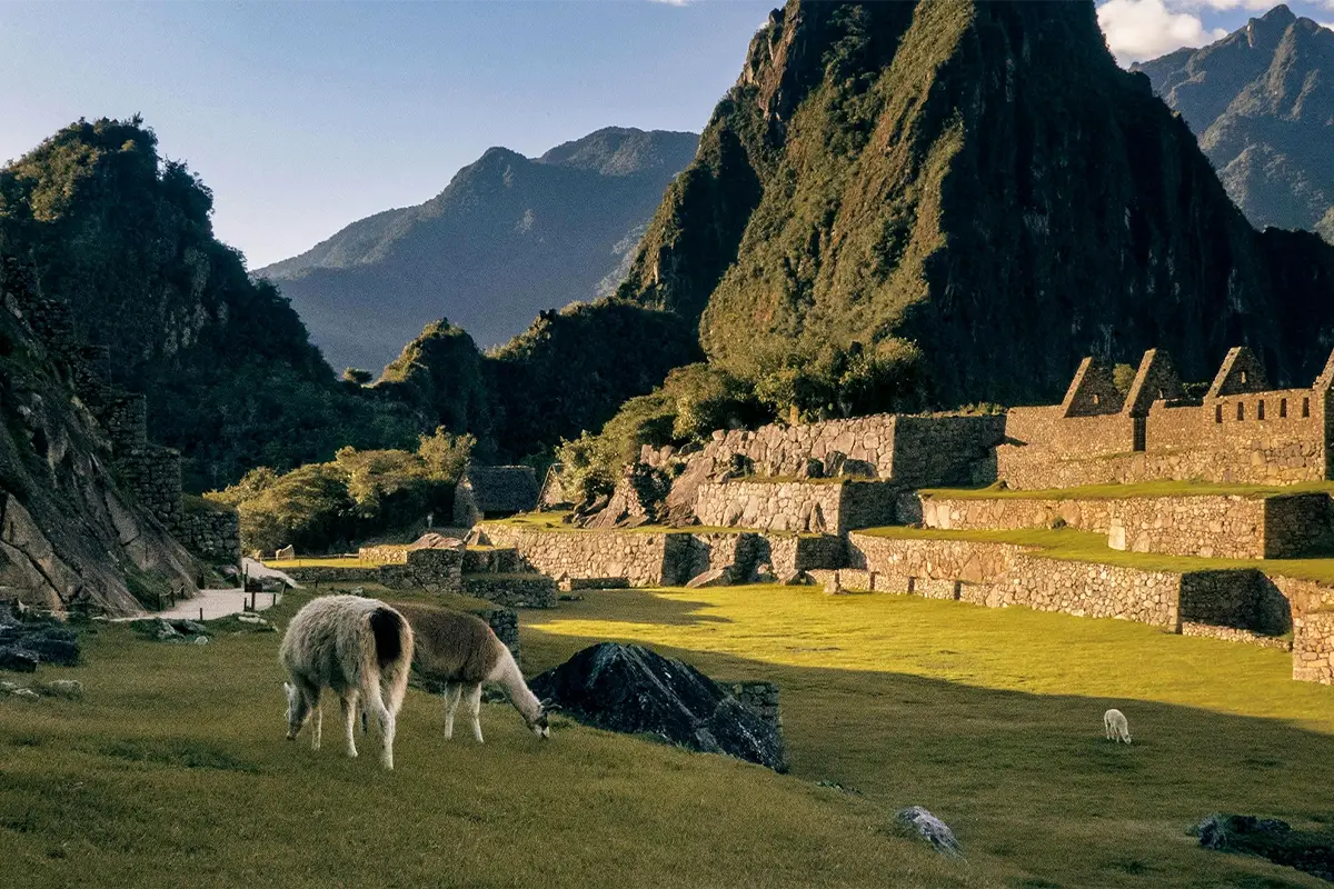 ciudadela inca machu picchu | TreXperience ciudadela inca machu picchu | TreXperience