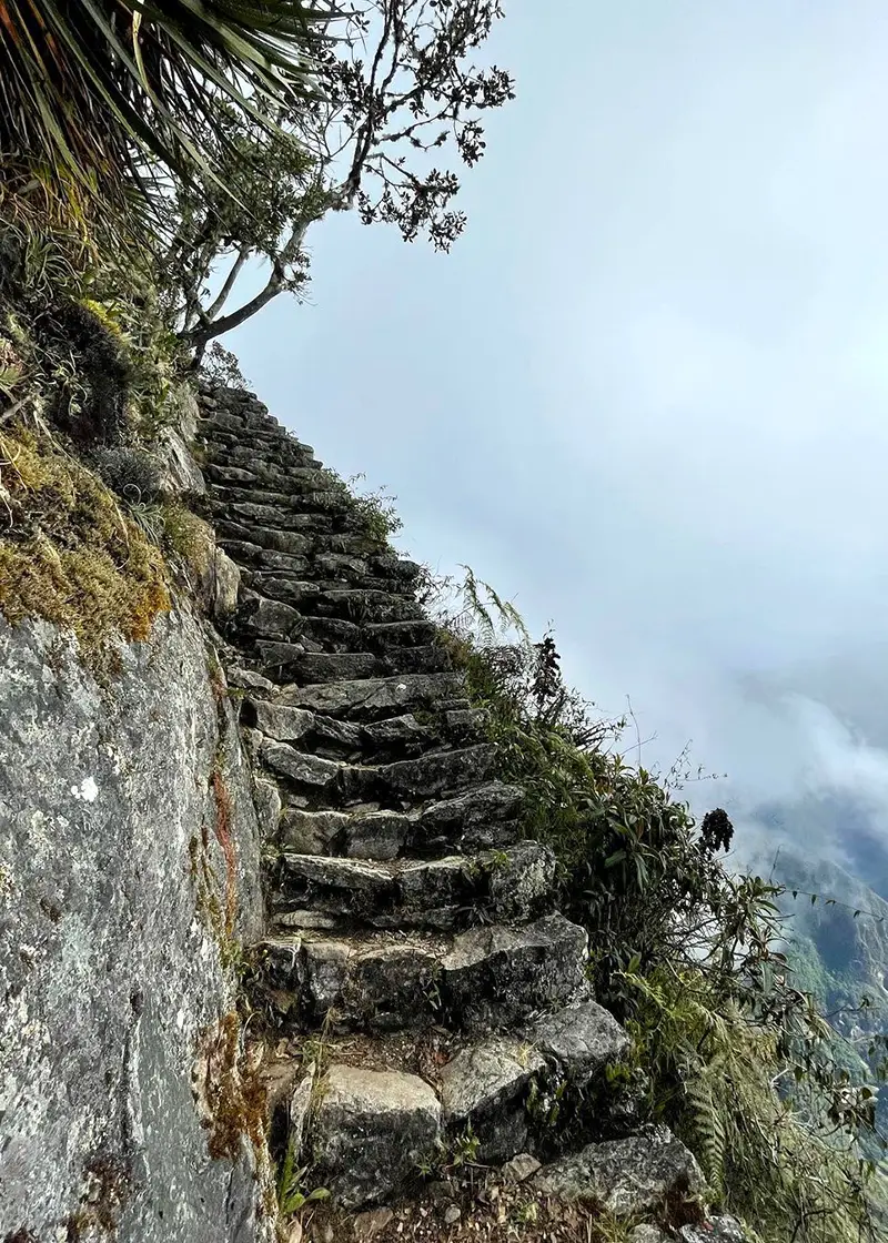 Stairs of Machu Picchu Mountain | TreXperience