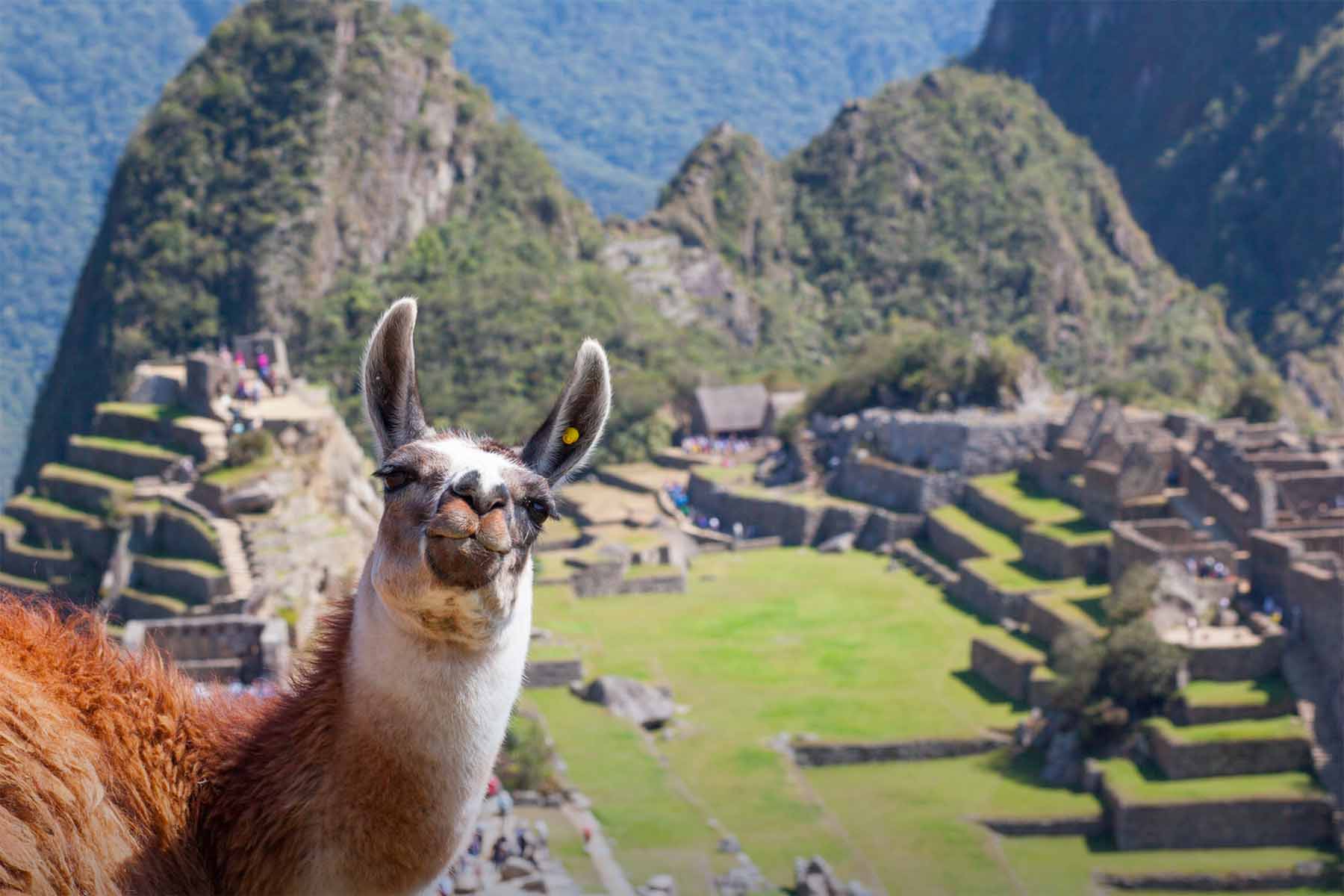 Visit Machu Picchu in Peru | TreXperience